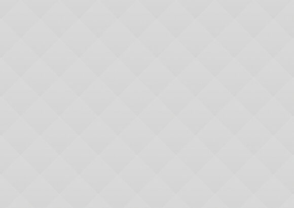 03 Professional Carwashing